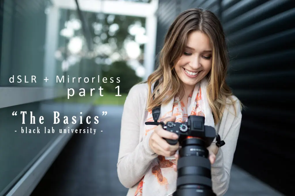 dSLR The Basics