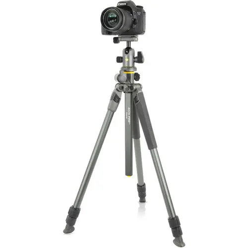 Vanguard Alta Pro 2+ 263AB100 Aluminum-Alloy Tripod Kit with Alta BH-100 Ball Head