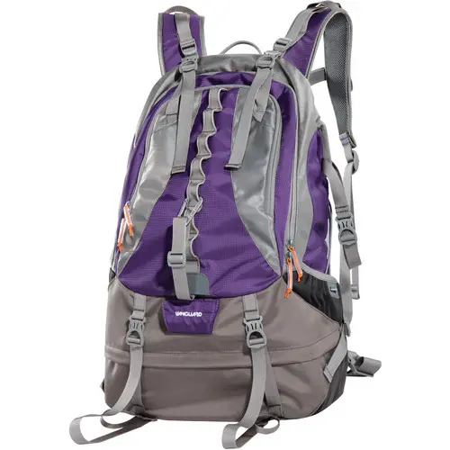 Vanguard Kinray 48 Backpack (Gray/Purple)