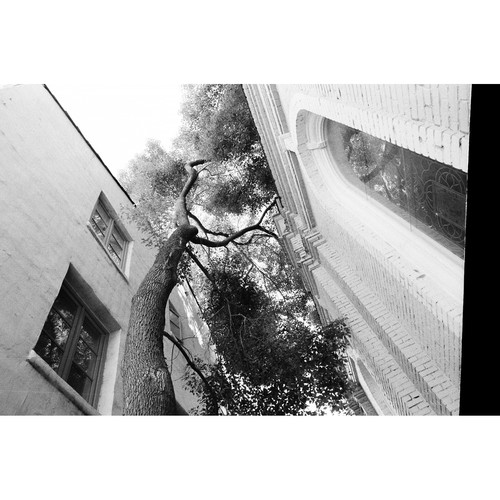 1576080032_IMG_1289191 Lomography Berlin Kino 400 Black and White Negative Film