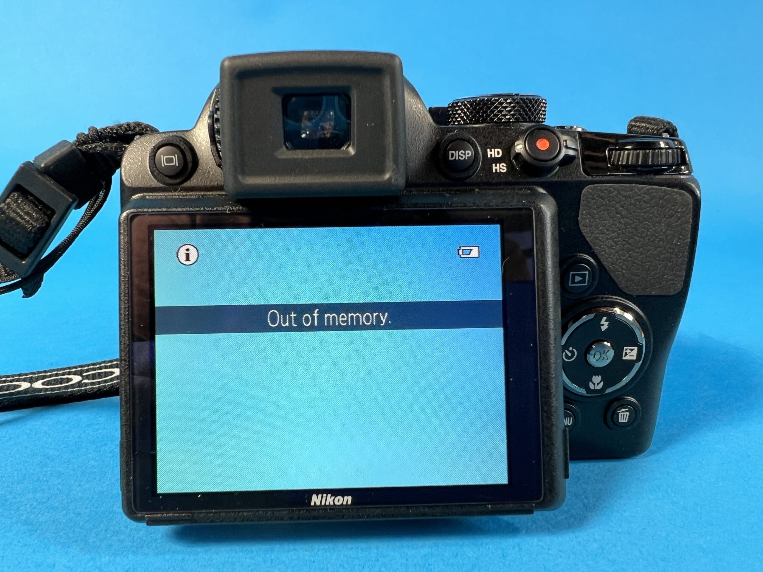 Nikon Coolpix P100 (Digital Point & Shoot) - Black Lab Imaging